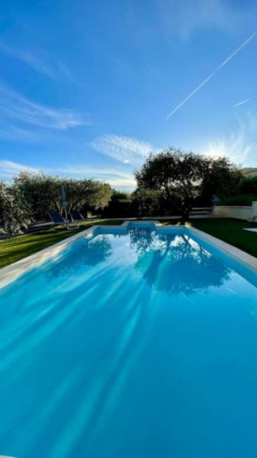 Au cœur d'une oliveraie, villa avec piscine